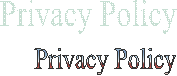 Privacy Policy